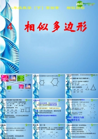 八年级数学下册 4.4(相似多边形)课件 北师大版 课件