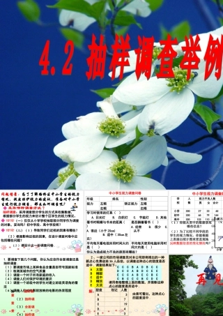 七年级数学全面调查举例课件2 新课标 人教版 课件