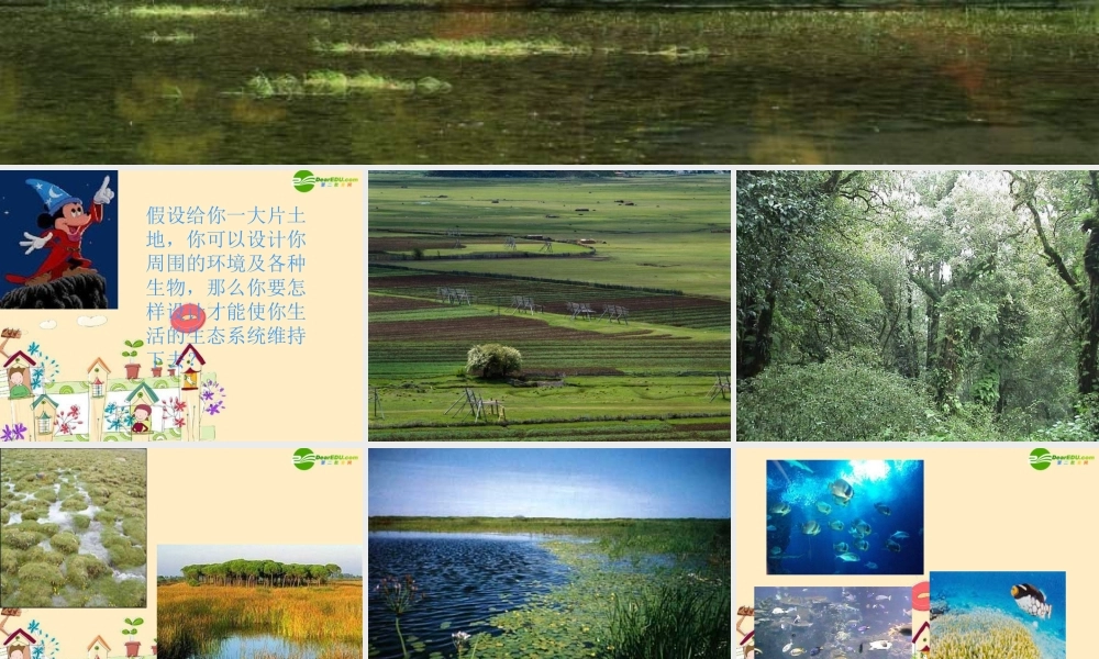 七年级生物 生物圈是最大的生态系统课件 新人教版 课件