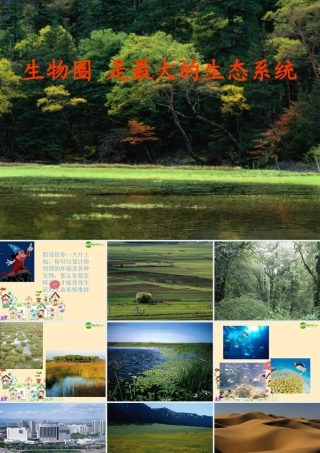 七年级生物 生物圈是最大的生态系统课件 新人教版 课件