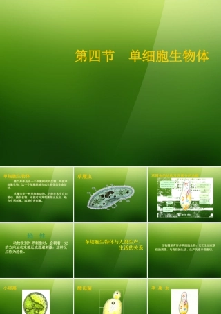 七年级生物上册 第五章 第4节(单细胞生物体)课件 冀教版 课件