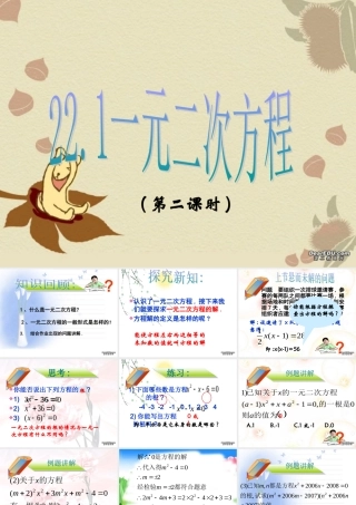 九年级数学一元二次方程 新课标 人教版 课件