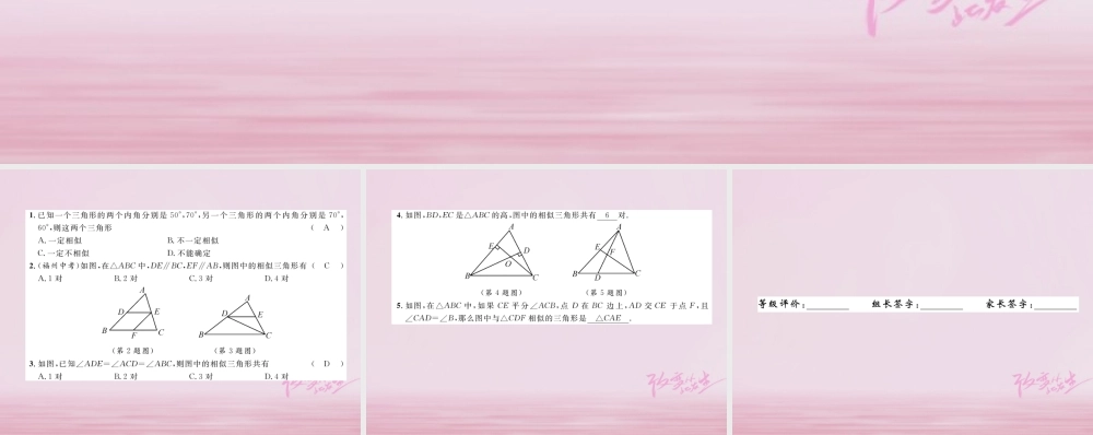 九年级数学上册 第23章 图形的相似 233 相似三角形 2332 相似三角形的判定(1)练习课件 (新版)华东师大版 课件