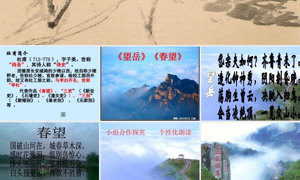 八年级语文上册 (望岳春望 )课件 人教新课标版 课件