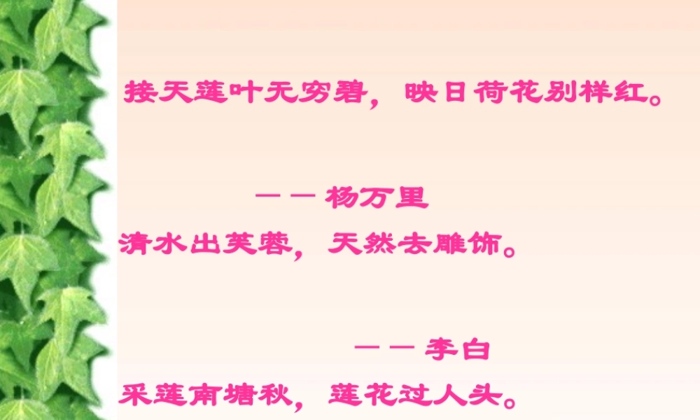 八年级语文上册 爱莲说课件