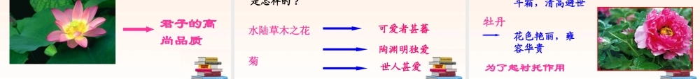 八年级语文上册 爱莲说课件