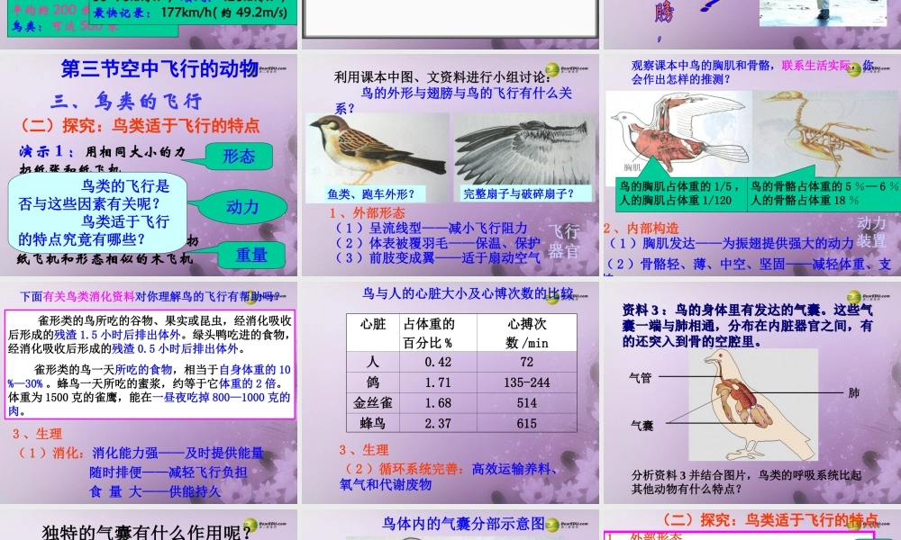 八年级生物上册(第五单元第一章 各种环境中的动物 空中飞行的动物)课件 新人教版 课件