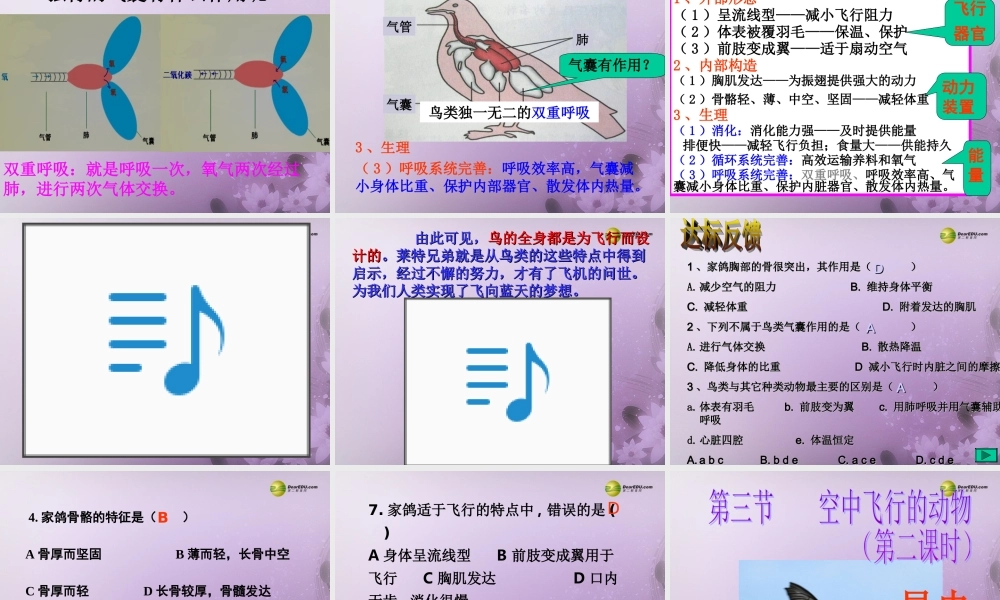 八年级生物上册(第五单元第一章 各种环境中的动物 空中飞行的动物)课件 新人教版 课件