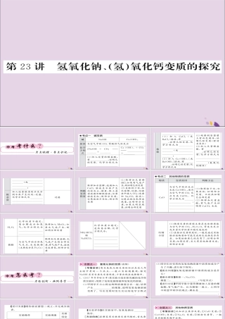 中考化学总复习 第一轮复习 系统梳理 夯基固本 第23讲 氢氧化钠氢氧化钙变质的探究课件
