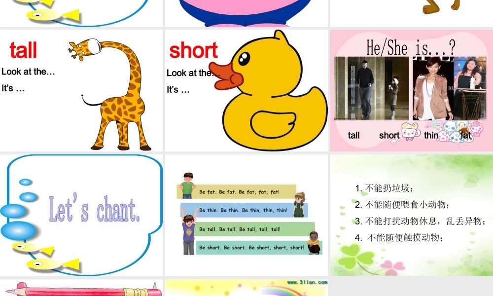 三下Unit3-At-the-zoo-A-Let's-learn课件