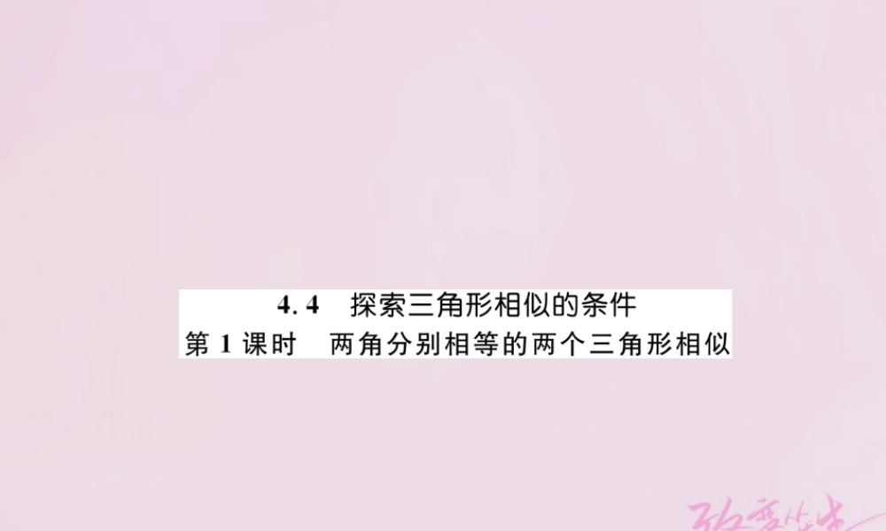 九年级数学上册 44 探索三角形相似的条件 第1课时 两角分别相等的两个三角形相似练习课件 (新版)北师大版 课件
