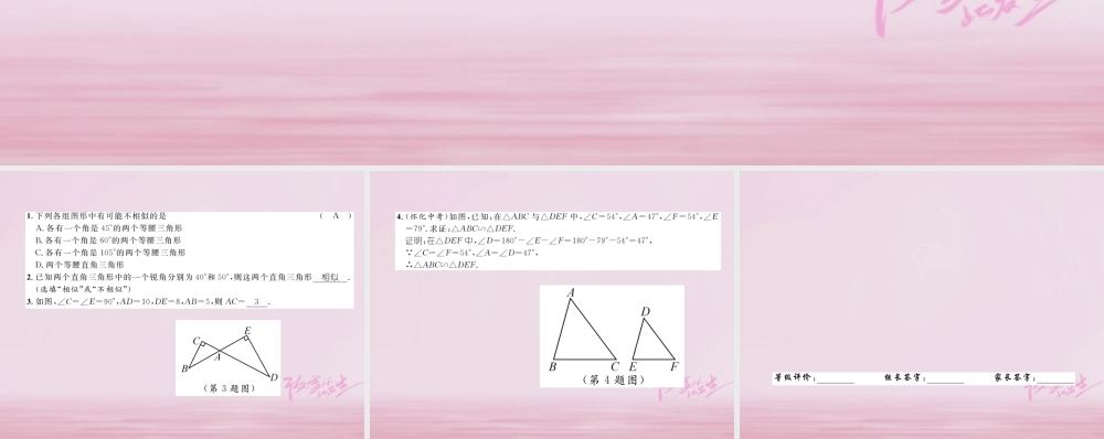 九年级数学上册 44 探索三角形相似的条件 第1课时 两角分别相等的两个三角形相似练习课件 (新版)北师大版 课件