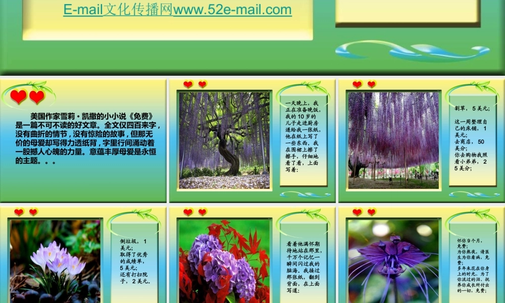 一个妈妈的智慧