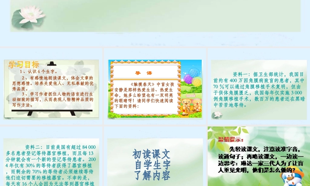 《永生的眼睛》课件 (2)