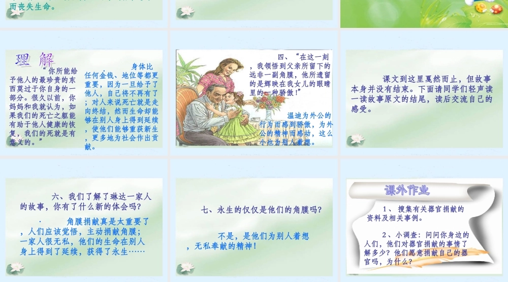 《永生的眼睛》课件 (2)