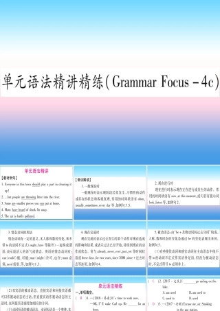 九年级英语全册 Unit 13 We re trying to save the earth语法精讲精练(Grammar focus 4c)课堂导练课件(含中考真题)(新版)人教新目标版 课件
