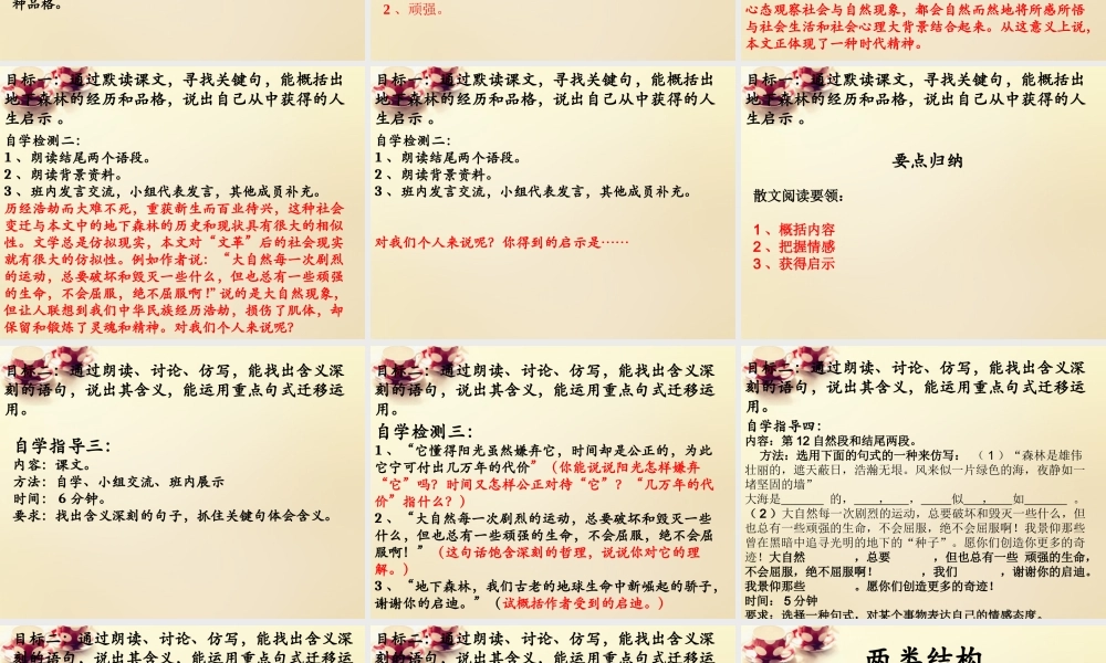 九年级语文下册 11(地下森林断想)课件 (新版)新人教版 课件