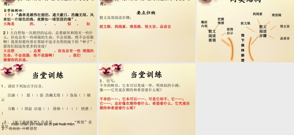 九年级语文下册 11(地下森林断想)课件 (新版)新人教版 课件