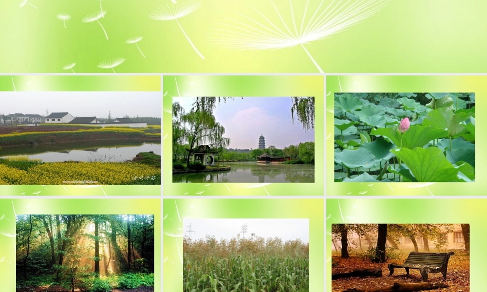 中学七年级语文上册 文笔精华课件 苏教版 课件