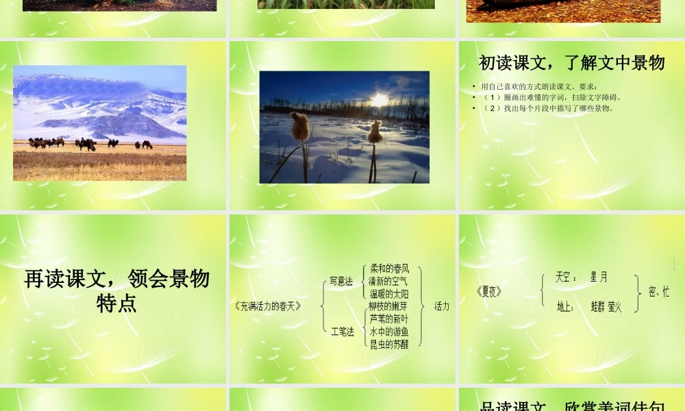 中学七年级语文上册 文笔精华课件 苏教版 课件