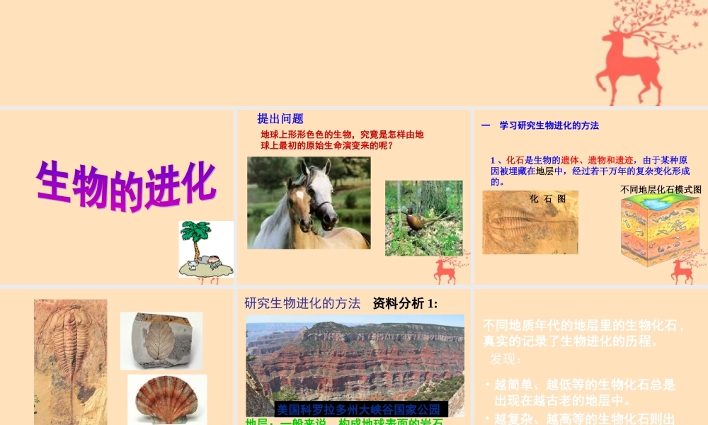 八年级生物下册 第六单元 生物的繁衍和发展 第三章 生物的起源与进化 6.3.2 生物的进化课件(新版)冀教版 课件