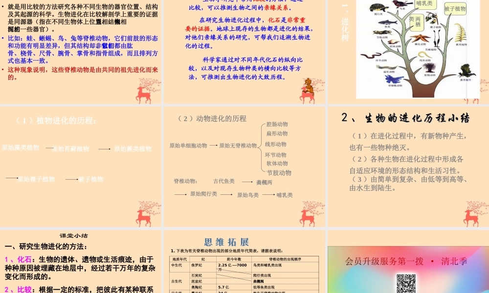 八年级生物下册 第六单元 生物的繁衍和发展 第三章 生物的起源与进化 6.3.2 生物的进化课件(新版)冀教版 课件