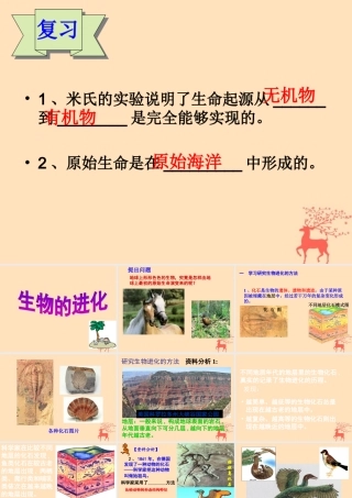 八年级生物下册 第六单元 生物的繁衍和发展 第三章 生物的起源与进化 6.3.2 生物的进化课件(新版)冀教版 课件