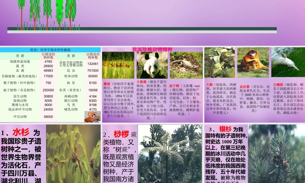 八年级生物上册 第6单元 第3章 保护生物的多样性课件 (新版)新人教版 课件