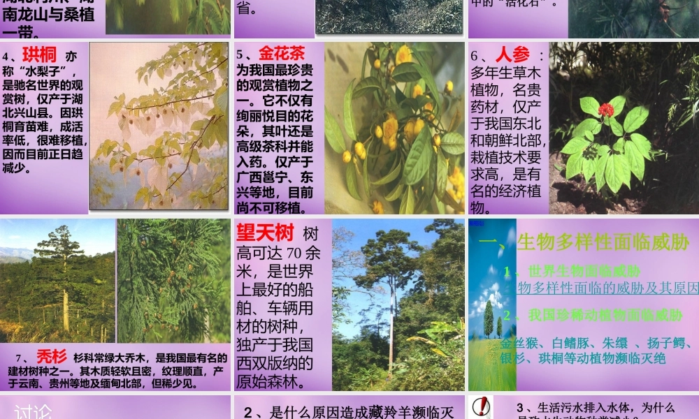 八年级生物上册 第6单元 第3章 保护生物的多样性课件 (新版)新人教版 课件