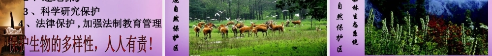 八年级生物上册 第6单元 第3章 保护生物的多样性课件 (新版)新人教版 课件