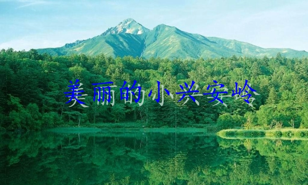 美丽的小兴安岭-PPT00