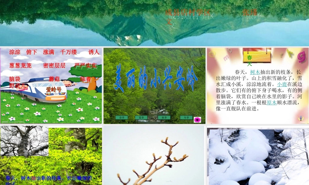 美丽的小兴安岭-PPT00