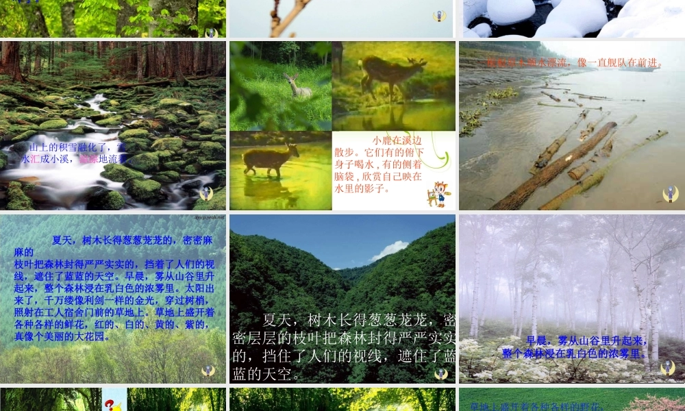 美丽的小兴安岭-PPT00