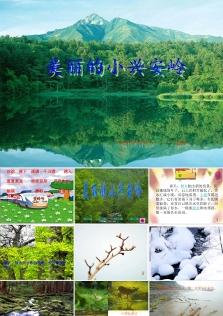 美丽的小兴安岭-PPT00