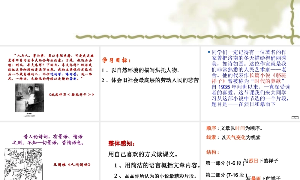 九年级语文在烈日和暴雨下万艳青课件（32页）