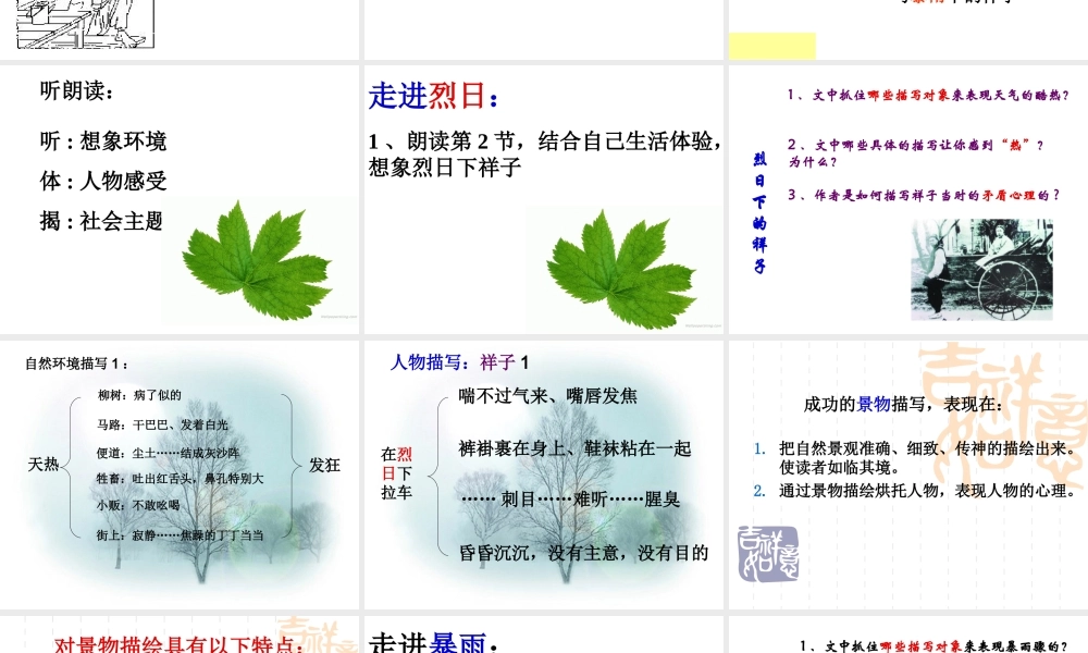 九年级语文在烈日和暴雨下万艳青课件（32页）