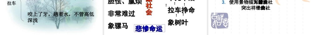 九年级语文在烈日和暴雨下万艳青课件（32页）