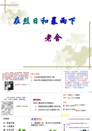 九年级语文在烈日和暴雨下万艳青课件（32页）