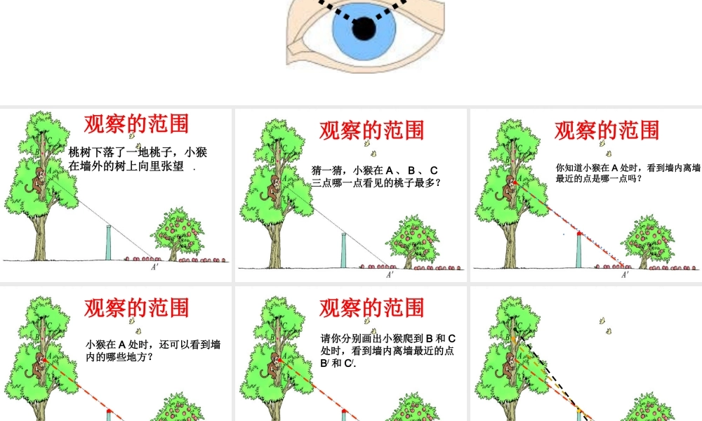北师大版数学六年级上册《观察的范围》课件(1)1[1]