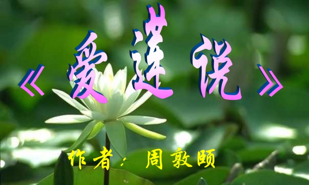 八年级语文下册(爱莲说)课件