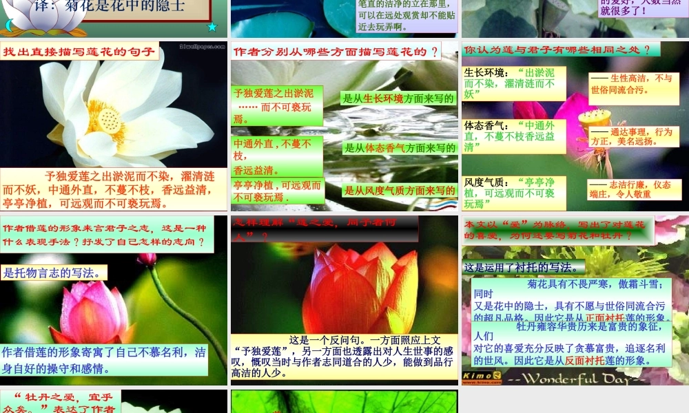 八年级语文下册(爱莲说)课件