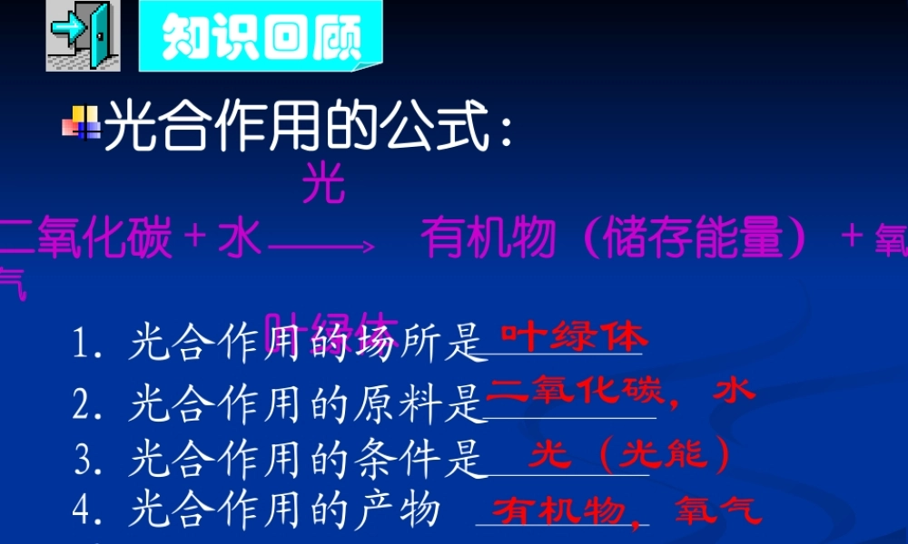 2014绿色植物的呼吸作用