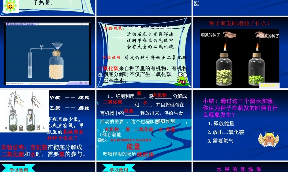 2014绿色植物的呼吸作用