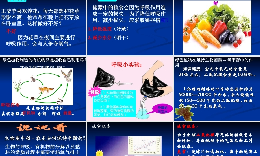 2014绿色植物的呼吸作用