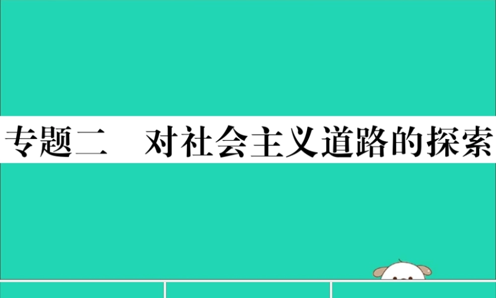 八年级历史下册 专题二 对社会主义道路的探索习题课件 新人教版 课件