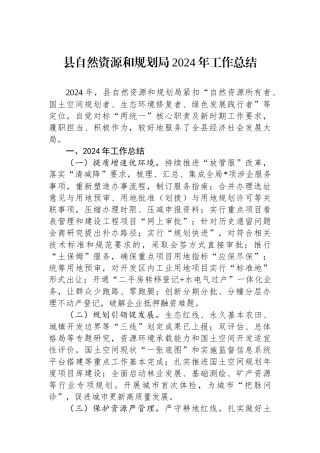 县自然资源和规划局2024年工作总结
