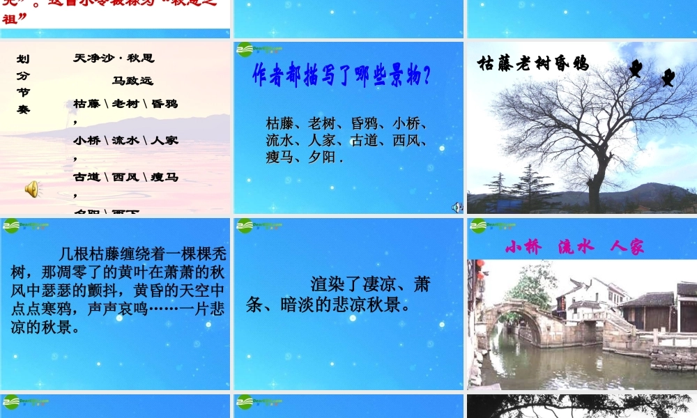 七年级语文上册 第七单元(天净沙 秋思)课件 语文版 课件