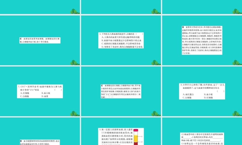 七年级生物下册 4.4.1 流动的组织 血液习题课件(新版)新人教版 课件