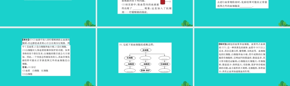 七年级生物下册 4.4.1 流动的组织 血液习题课件(新版)新人教版 课件