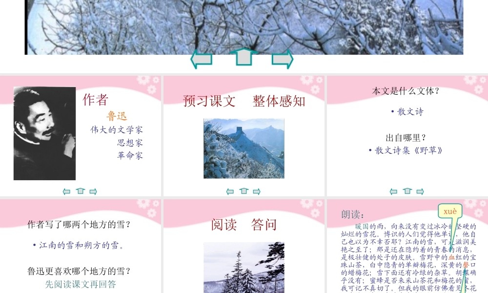 九年级语文下册 第19课(雪)课件 苏教版 课件